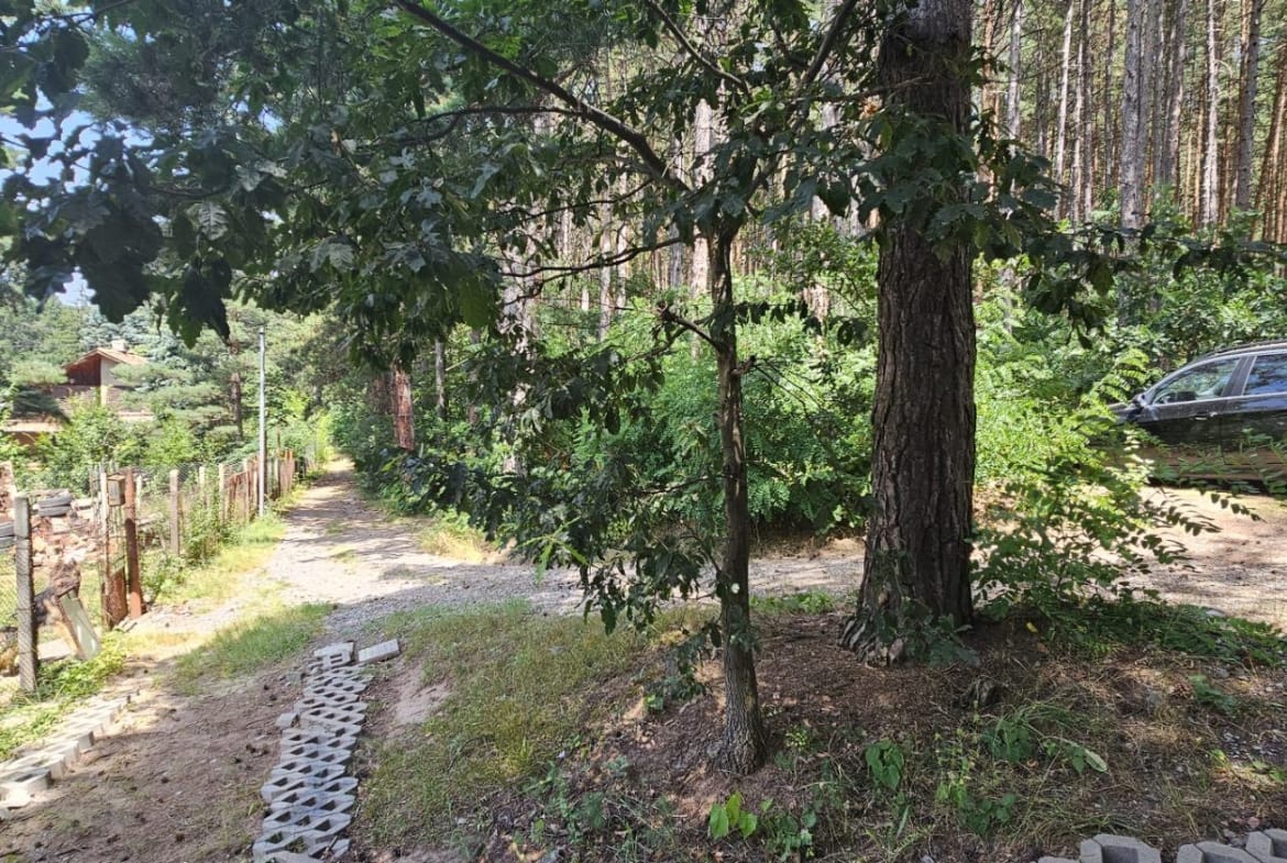 🏡 Прекрасен Парцел в Сърцето на Природата - 0