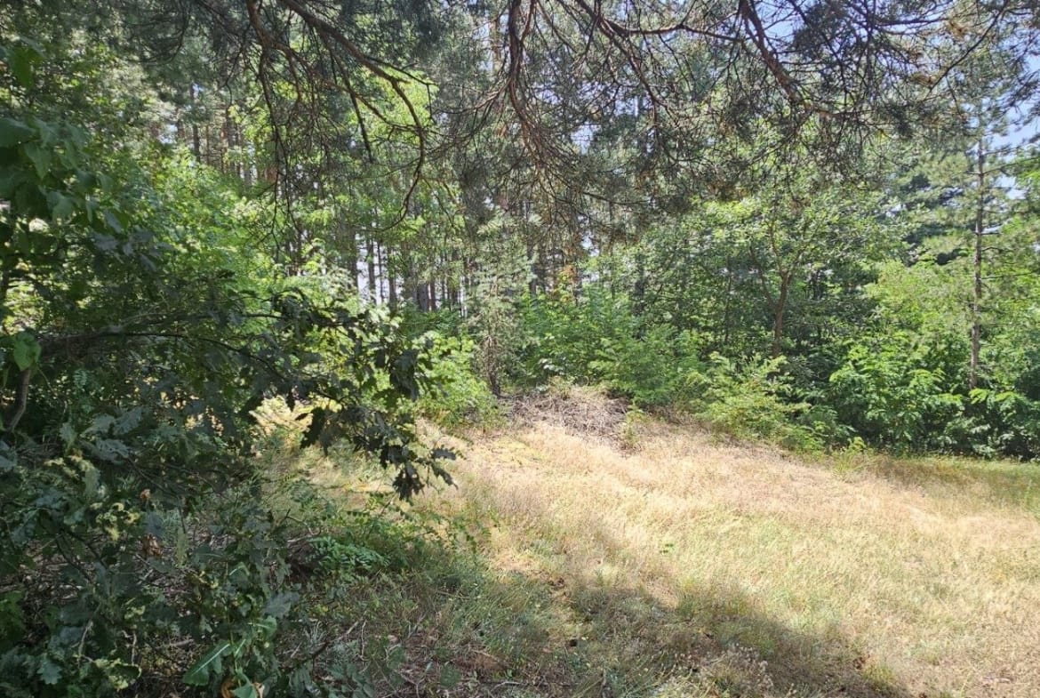 🏡 Прекрасен Парцел в Сърцето на Природата - 0