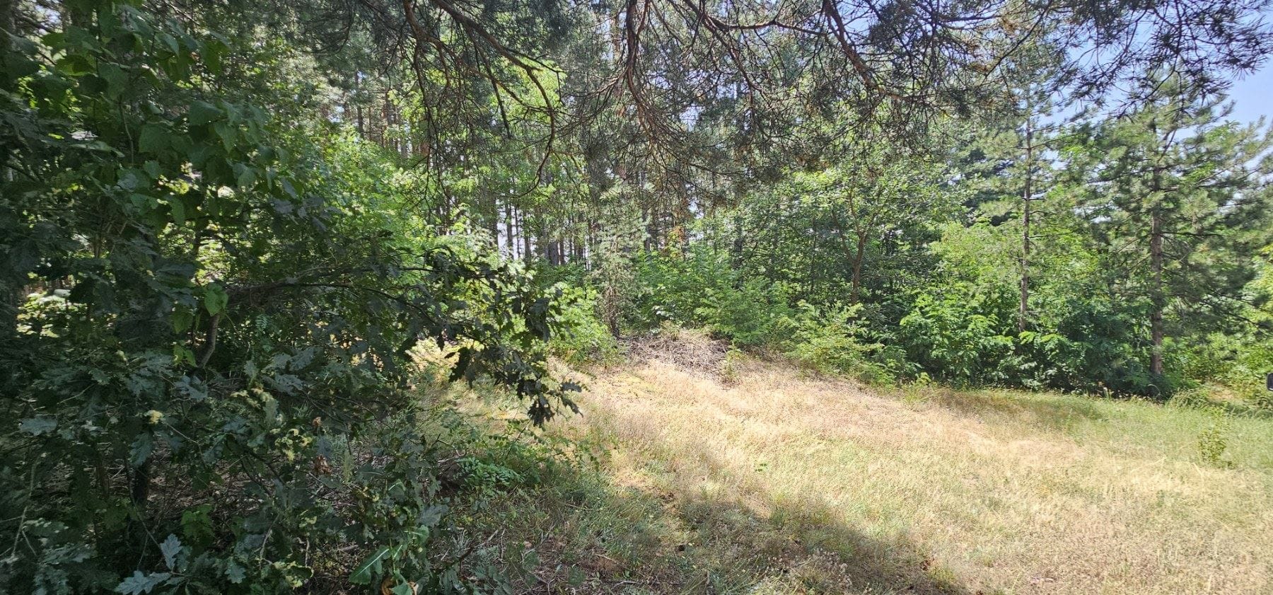 🏡 Прекрасен Парцел в Сърцето на Природата - 0