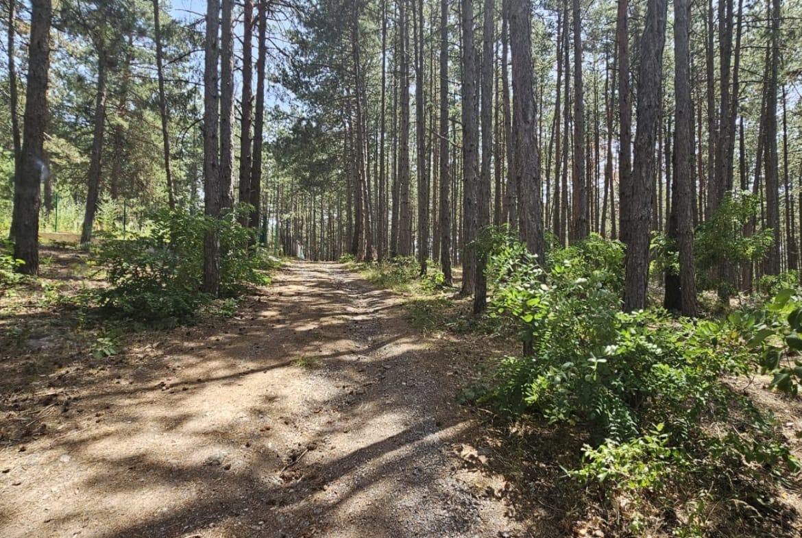 🏡 Прекрасен Парцел в Сърцето на Природата - 0